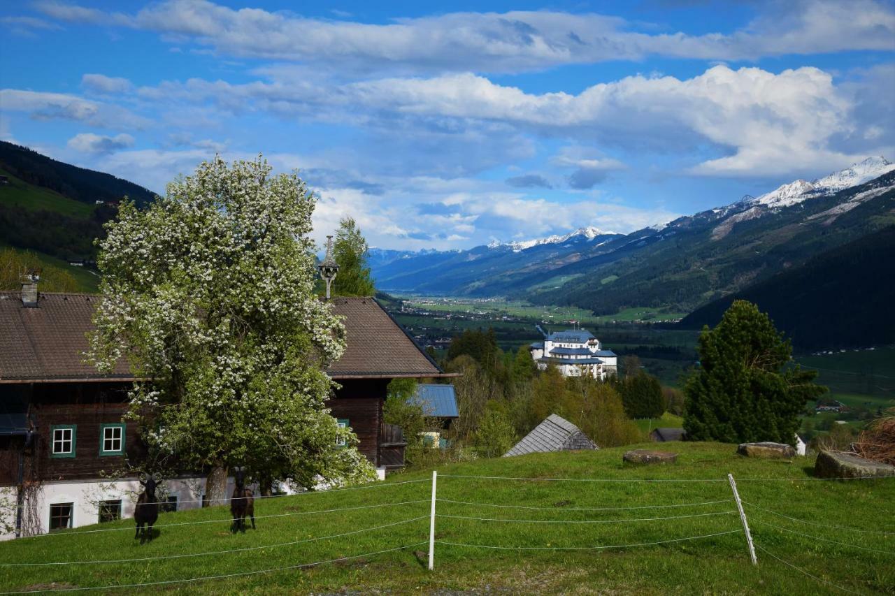 Hotel Pension Schachernhof Mittersill Exteriér fotografie